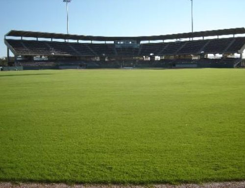 TAMU Olsen Field and Softball Field Renovations